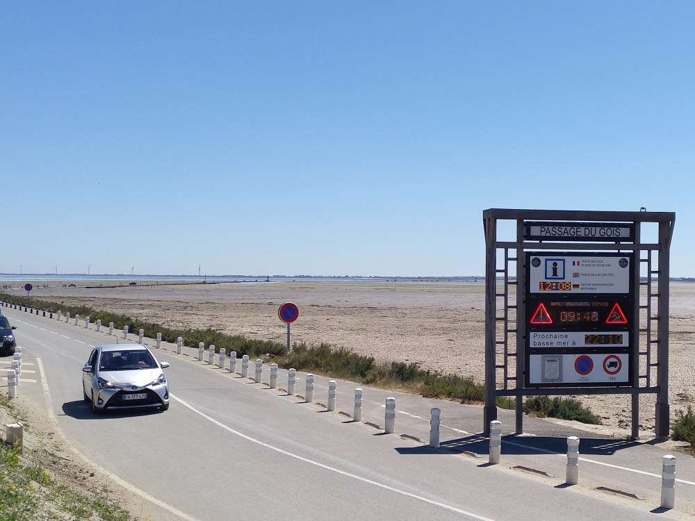 IMG_20190531_121005_211 (2)