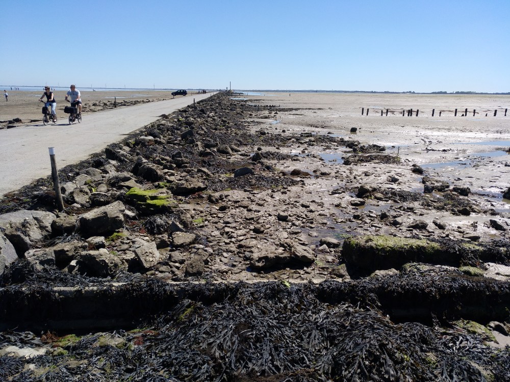 IMG_20190531_121710_704