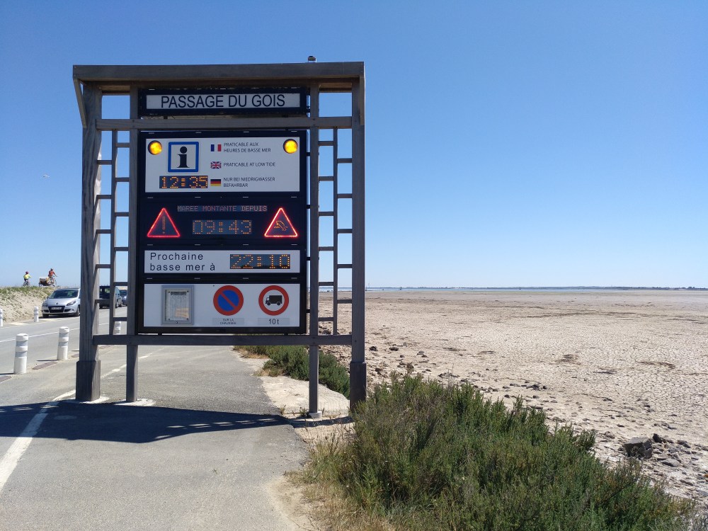 IMG_20190531_123632_070