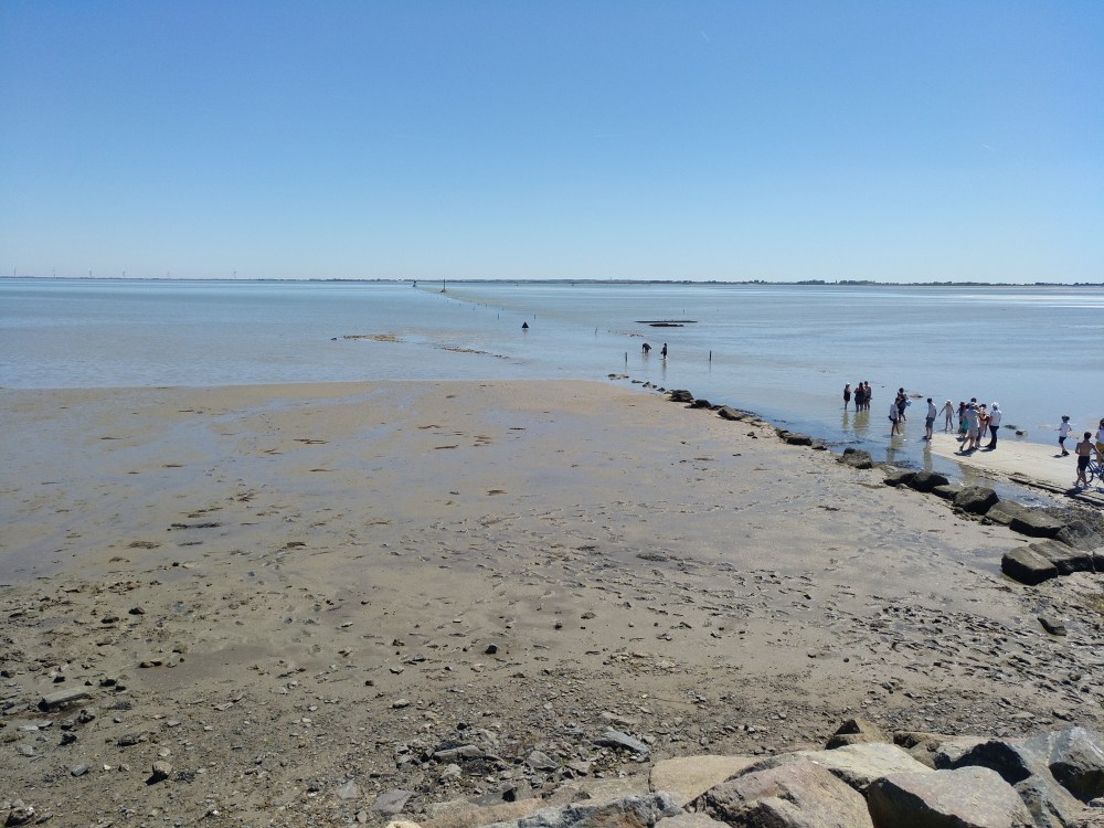 IMG_20190531_125651_829