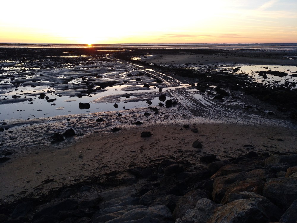 IMG_20190531_215451_754