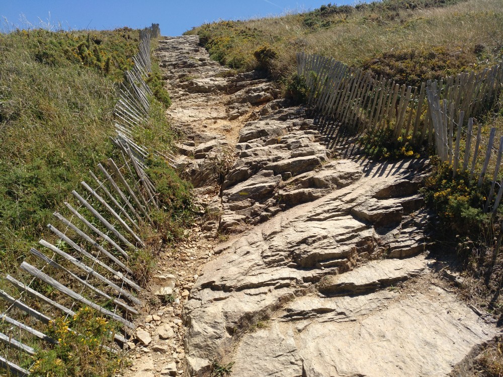 IMG_20190601_133413_242