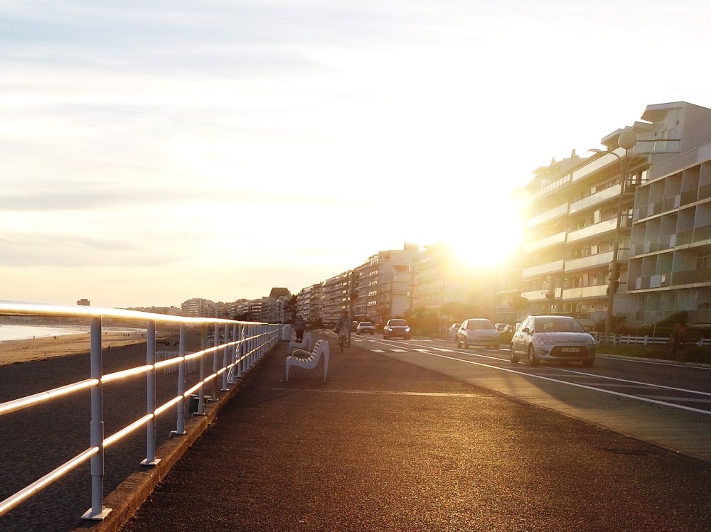 IMG_20190601_212203_494 (2)