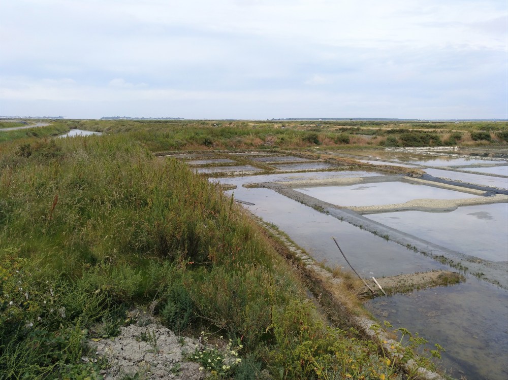 IMG_20190602_131806_149 (2)