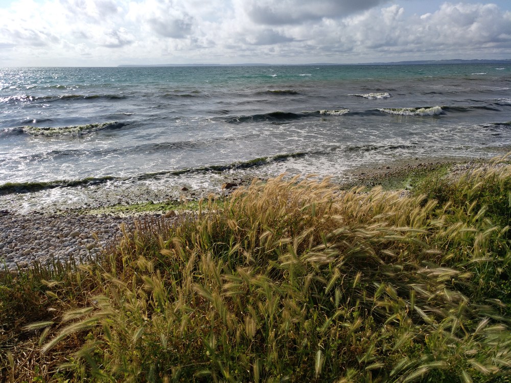 IMG_20190604_182056_934