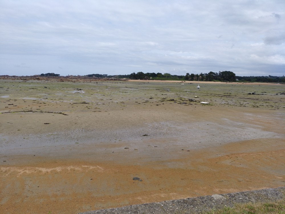 IMG_20190605_153911_980