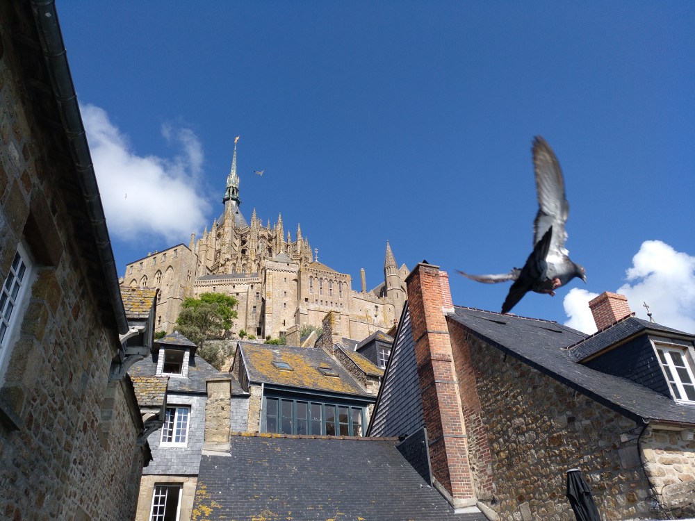 IMG_20190606_103757_321